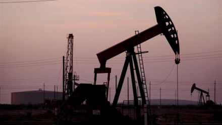  طالبان اولین مزایده نفت خام افغانستان را برگزار کرد