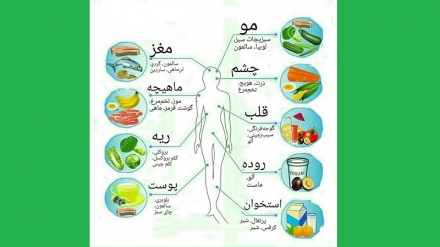 مواد غذایی مفید برای اعضای بدن