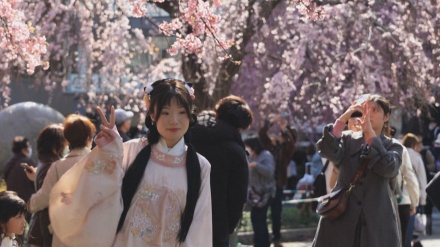 東京で早くも桜が開花、史上1位タイの早さ