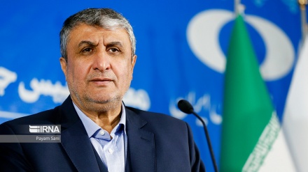 رییس سازمان انرژی اتمی ایران: نظارت‌ها در چارچوب ملاحظات ایران انجام می‌شود
