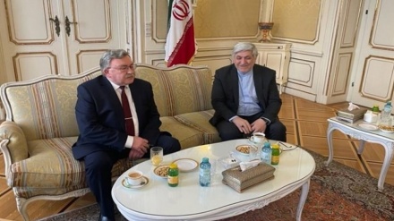 התייעצויות בין איראן ורוסיה בווינה לגבי ישיבת מועצת הנגידים הבאה