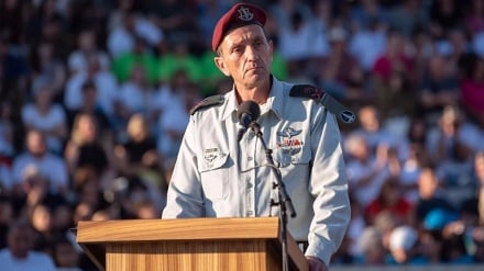 הרצי הלוי הגיב ל