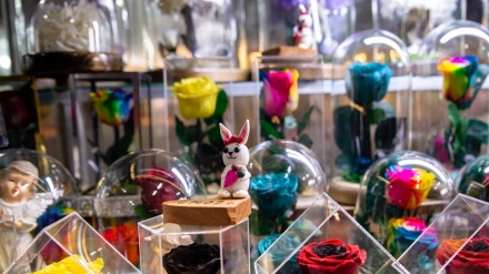 (FOTO) Festa di primavera e mercato dei fiori - 2