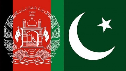 همکاری پاکستان و طالبان برای نابودی گروه های تروریستی