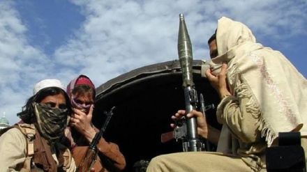 سازمان ملل: فرماندهان تی.تی.پی از طالبان بسته‌ کمکی دریافت می‌کنند