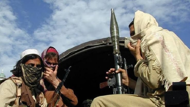 سازمان ملل: فرماندهان تی.تی.پی از طالبان بسته‌ کمکی دریافت می‌کنند