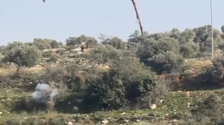 Warga Palestina Bentrok Melawan Pasukan Zionis