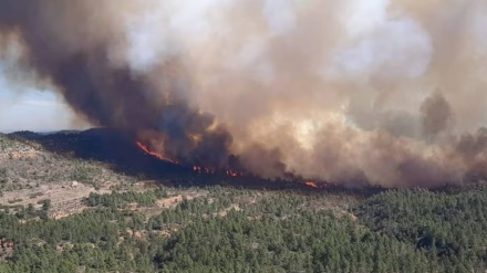 Thousands evacuated after massive wildfire engulfs eastern Spain