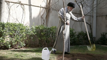 (FOTO) Leader, la “Giornata di piantare alberi” in Iran - 1
