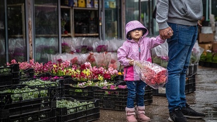 Tahun Baru HS, Pasar Bunga di Iran Ramai Pembeli (2)