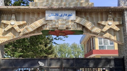شهرداری تالقان برای فروشندگان نرخ نامه تعیین کرد