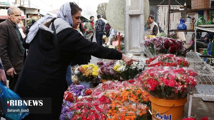 Tregu pranveror i luleve dhe bimëve në Teheran në prag të vitit të ri iranian