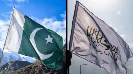 د افغانستان دطالبانو استخباراتي پلاوي په پاکستان کې پټ لیدۀ کاتۀ وکړل 