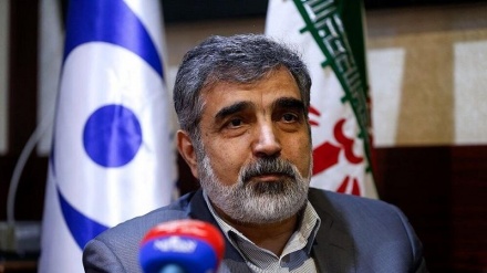 کمالوندی : دستاوردهای هسته‌ای زندگی ایرانیان را متحول می‌کند