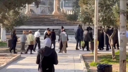 Pemukim Zionis Memasuki Kompleks Masjid al-Aqsa