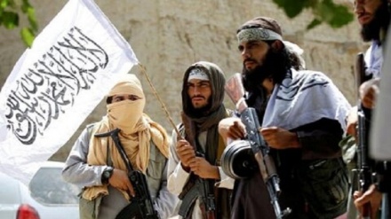  شورای حقوق بشر سازمان ملل به معافیت طالبان از مجازات پایان دهد