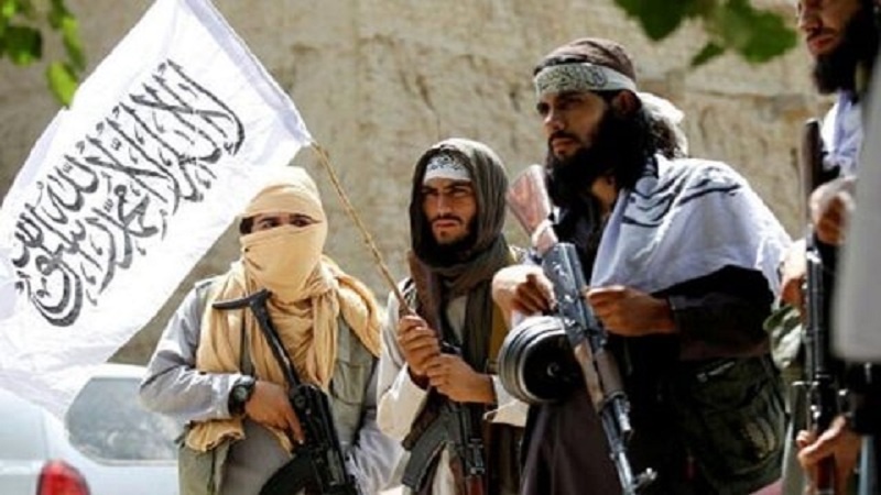 شورای حقوق بشر سازمان ملل به معافیت طالبان از مجازات پایان دهد