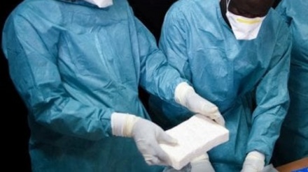 荷兰破获史上最大规模毒品走私案查缴逾8吨可卡因