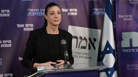 מיכאלי על המהפכה המשפטית: הקואליציה רוצה לעקור לדמוקרטיה את העיניים