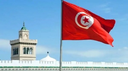 突尼斯总统任命新总理