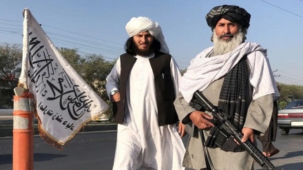 چوکی داغ (تکذیب درخواست پول از طرف حکومت طالبان از پاکستان برای خلع سلاح طالبان پاکستانی)