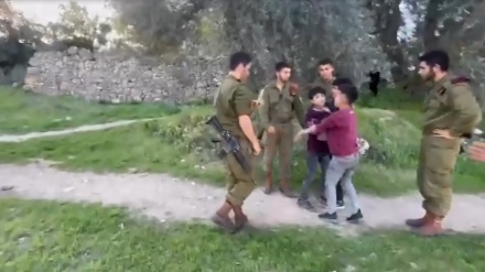 Pasukan Zionis Tangkap Dua Anak Palestina di al-Khalil