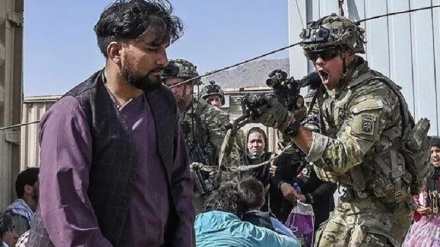 انتقاد از بی توجهی به جنایات آمریکا و ناتو در افغانستان 