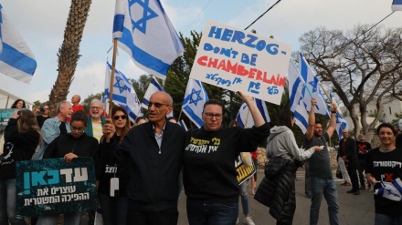 הפגנות נגד המהפכה המשפטית מול בתיהם של הרצוג; גלנט; אדלשטיין ועידית סילמן