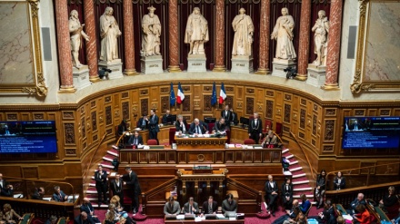 Senati i Francës miraton reformat e ligjit të pensionimit pavarësisht protestave të miliona francezëve