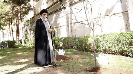 (FOTO) Leader, la “Giornata di piantare alberi” in Iran - 2
