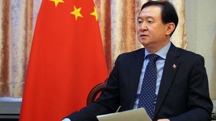 駐イラン中国大使、「我が国は西アジアの平和と安定求める」