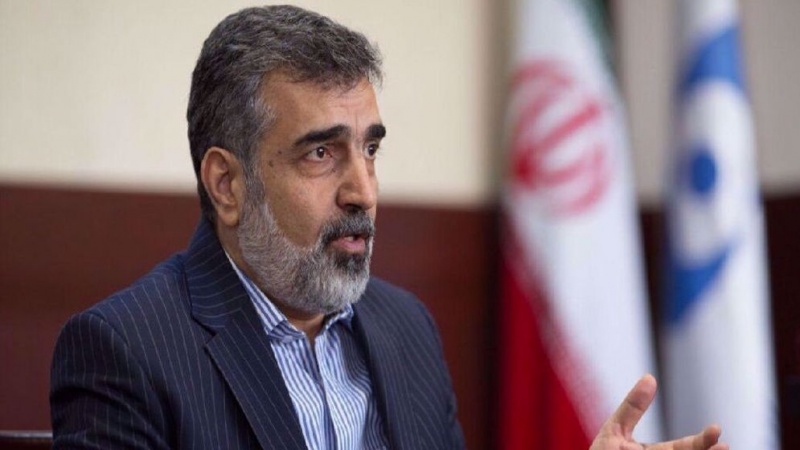 AEOI spokesman: Iran-IAEA agreements in line with Parliament’s strategic law