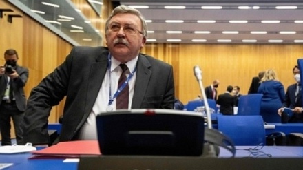 Rusia Kritik Resolusi Dewan Gubernur IAEA terhadap Iran