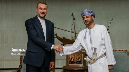 Амир-Абдуллахиан: У Омана есть серьезные инициативы в отношении ядерного вопроса Ирана