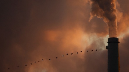 Ue: 1.200 minori vittime dello smog