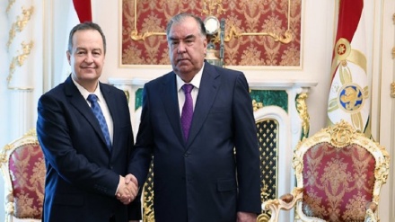 تاکید «رحمان» بر آمادگی تاجیکستان برای گسترش روابط با صربستان 
