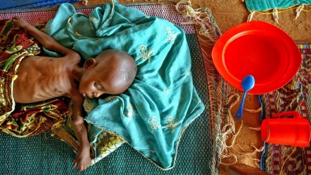 NGO's: Mtu mmoja hufariki dunia kwa njaa kila baada ya sekunde 36 kuanzia Sahel hadi Pembe ya Afrika
