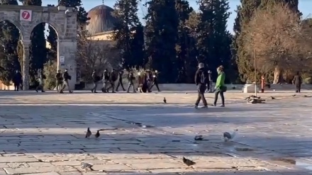 Dikawal Ketat Polisi Israel, Pemukim Zionis Masuk al-Aqsa