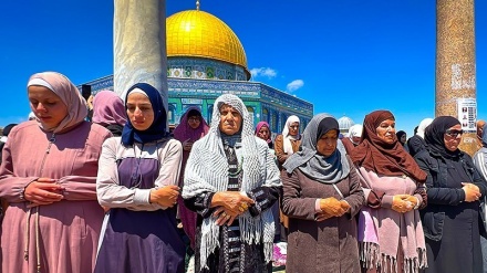 فلسطیني ښځې په مقاومت کښې چورلیزي رول لوبوي
