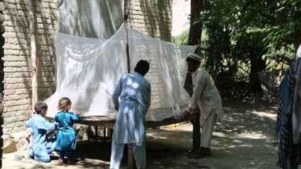 ثبت بیشترین موارد ابتلا به مالاریا در ولایات شرقی افغانستان