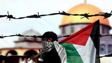 New developments in Occupied Palestine