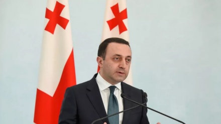 Վրաստանն ու Ադրբեջանն աշխատում են Միջին միջանցքի զարգացման ուղղությամբ. Ղարիբաշվիլի