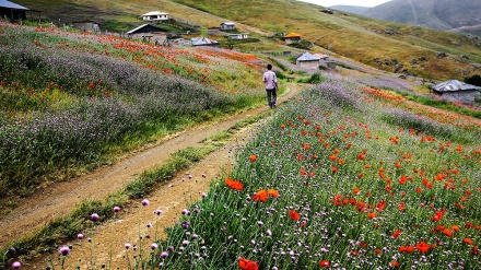 イラン北西部アルダビール州ハルハール郡の春の自然
