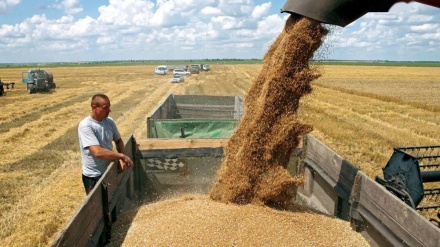 波兰：对乌克兰谷物进口禁令至少实施至年底