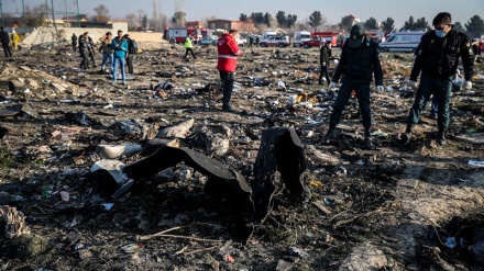 Disa vende kanë abuzuar me aksidentin e avionit ukrainas