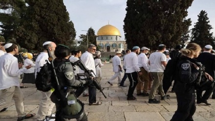 Kolonët sionistë përsëri hyjnë me dhunë në Xhaminë Al-Aksa
