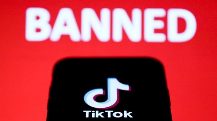 НАТО также присоединилось к группе бойкота TikTok