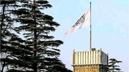 هڅه کوو د ملت د قربانیو ثمره ضایع نشي