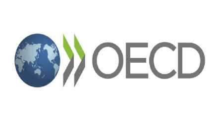 דוח ה-OECD: ישראל נתפסת כמושחתת יותר מאשר הממוצע ב-OECD