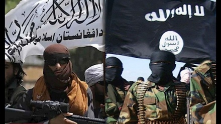 ادعاها در مورد تقویت گروه تروریستی داعش در افغانستان